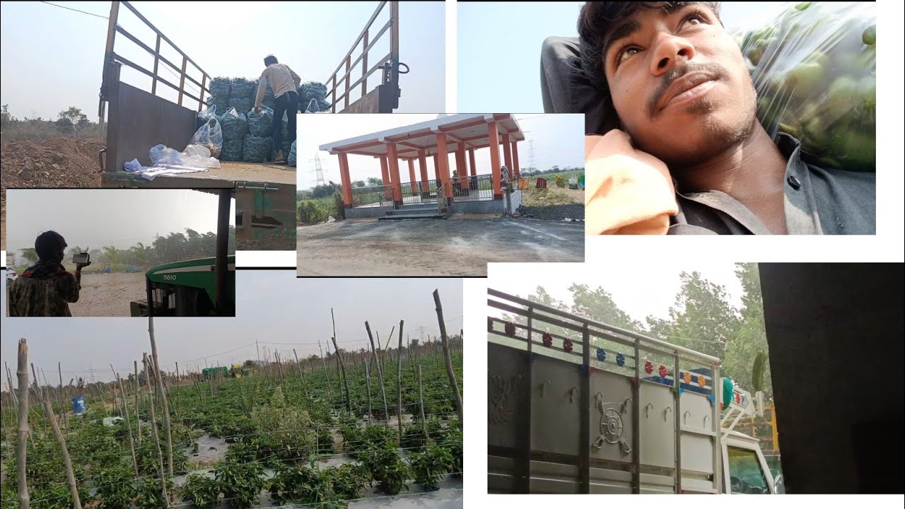 Aaj mera farming karne Haryana 😨