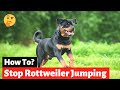 How to Stop your Rottweiler Dog from Jumping On Furniture?