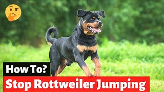 How to Stop your Rottweiler Dog from Jumping On Furniture?