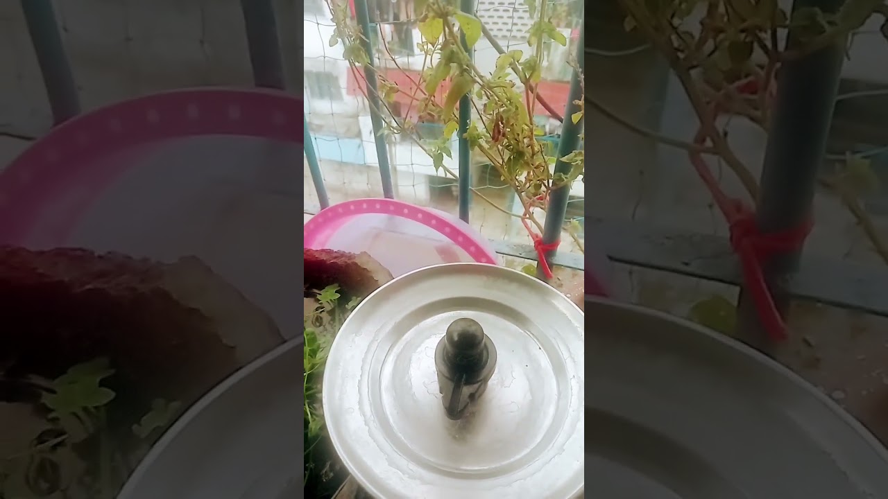 Mahadev Shankar Jag Se nirale bade bhole wale sidhe sadhe har har Mahadev