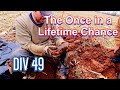 Once in a Lifetime Chance, Metal Detecting at Diggin In Virginia 49