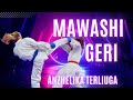 Mawashi geri training with anzhelika terliuga karate 55