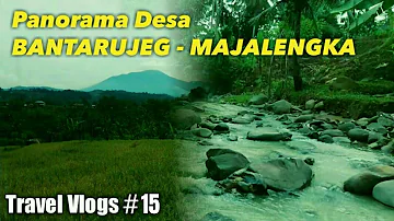 TravelVlog #15 - Suasana DESA BANTARUJEG | Kondisi SAWAH Siap PANEN