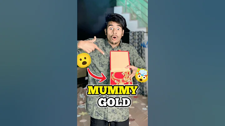 Video 11702031: compilation cats pets, cat compilation funny pet, gold cat