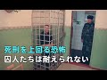 ロシアのフクロウ刑務所、囚人がマイナス50度で死を待つ