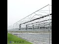 kunyu greenhouse manufacture china, polycarbonate greenhouse, glass greenhouse, film greenhouse