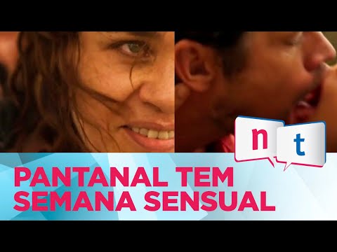 Resumo de Pantanal: Sexo, assédio, desmaio e sucuri