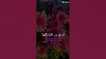 #duet #سورة_يوسف