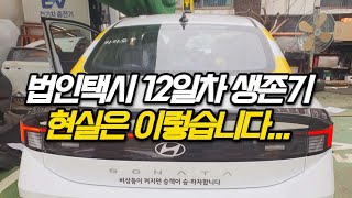 법인택시 12일차 생존기 현실은 이렇습니다