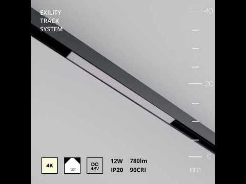 Встраиваемый светильник Maytoni Basis TR030-2-12W4K-B