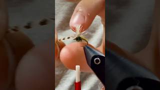 Klinkhamer dry fly pattern! #flies #flyfishing #flytying #flytyingtutorial