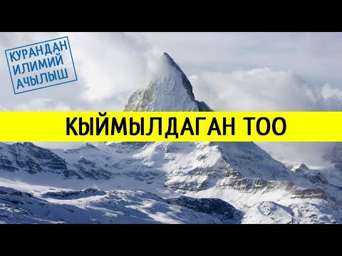 Video: Кайсы тоолор эң бийик