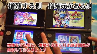 【妖怪ウォッチバスターズ赤猫団 白犬隊】妖怪増殖方法です