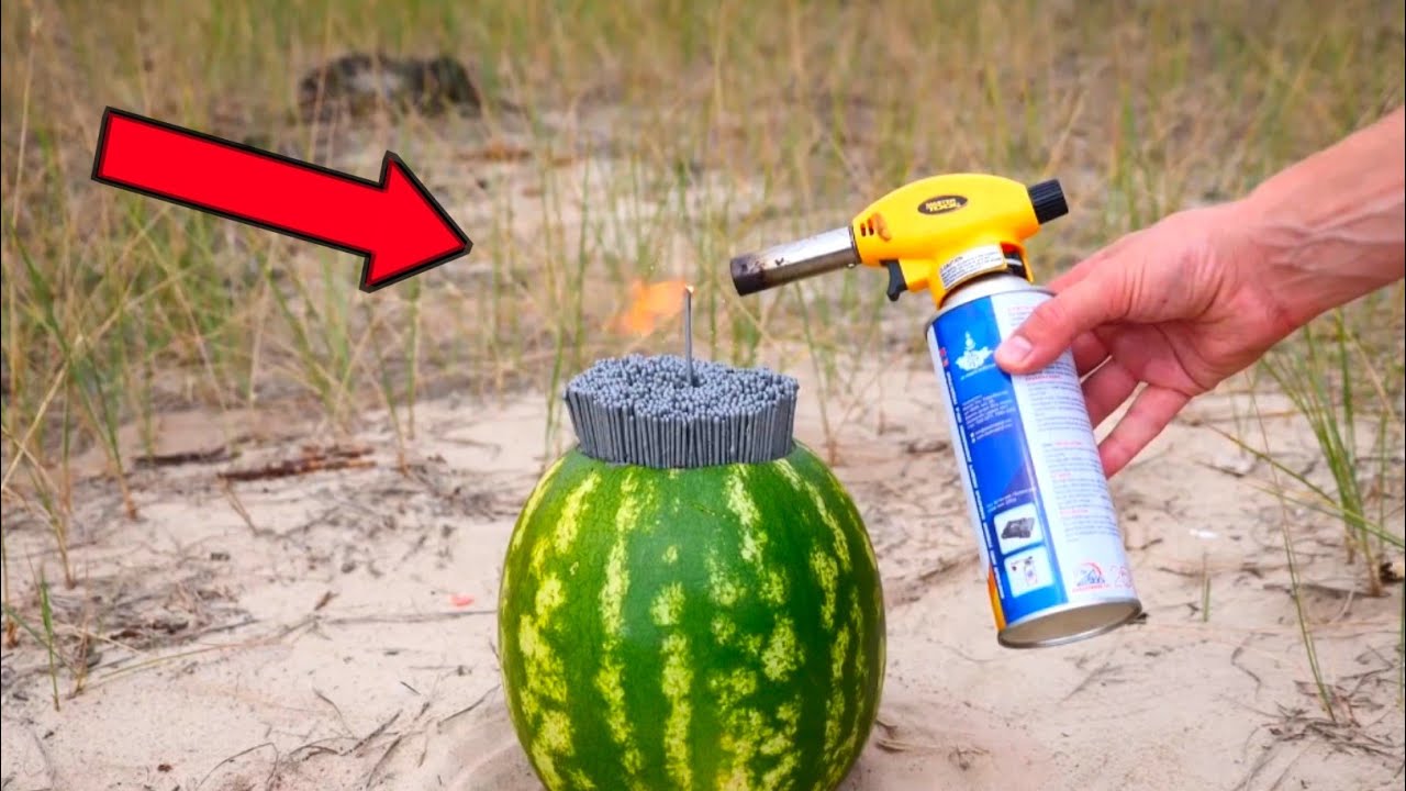 New experiment watermelon 