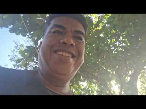 Pag ka tapus mag jogging samahan nyo ko mag harvest ng mga talbos ng kamote #tazyotv