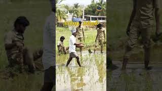 நாற்று நடுதல் 🌱 | Imayam Agriculture College Students in Paddy Field 🌾