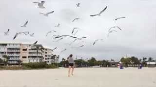 Seagulls Chase A Girl Down The Beach