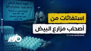 خسائر حادة يتعرض لها أصحاب مزارع البيض