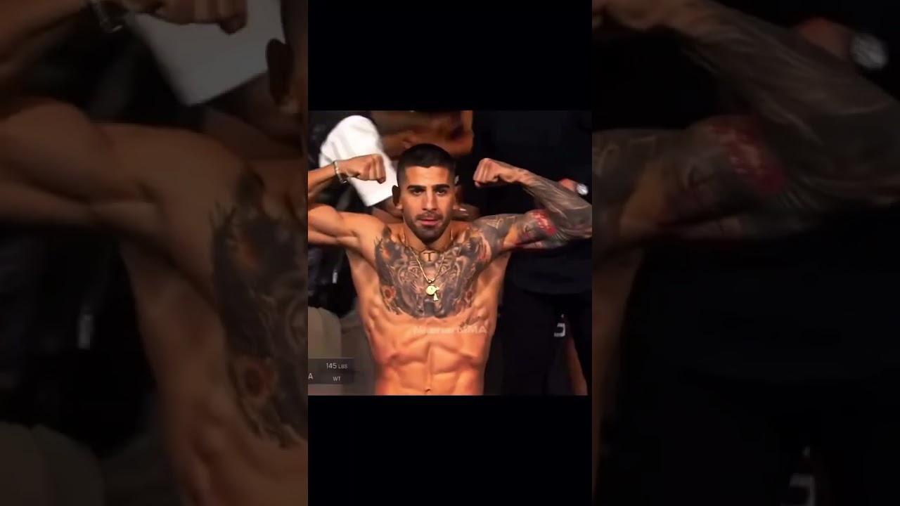 UFC undefeated fighter 