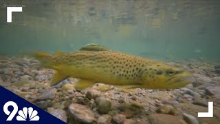 Rivers flow at historical low levels in southwestern Colorado