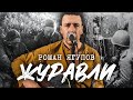Роман Ягупов Zdob Si Zdub Журавли Cover Роман Ягупов Zdob Si Zdub Журавли Cover