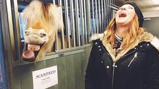 Animals and 1M+ funny moments of their life