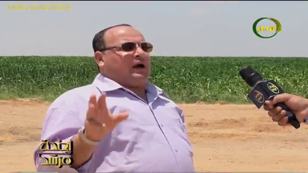 زراعة الذرة وتاثير استخدام المخصبات الحيوية على الانتاج