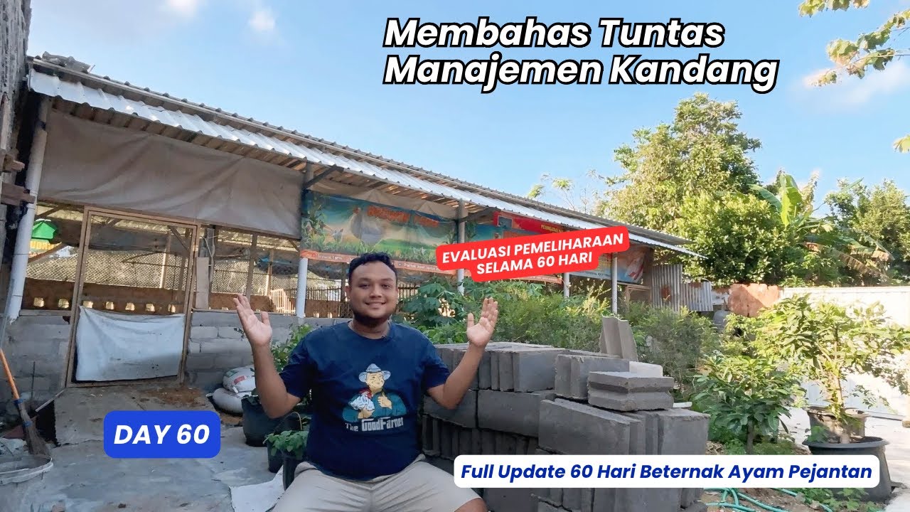 DAY 60 - ALASAN MENGAPA TETAP BETERNAK AYAM WALAUPUN BISNIS AYAM SEDANG LESU