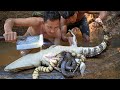 Most Amazing Video Found Big Snake in Crocodile Stomach n cooking Snake Soup