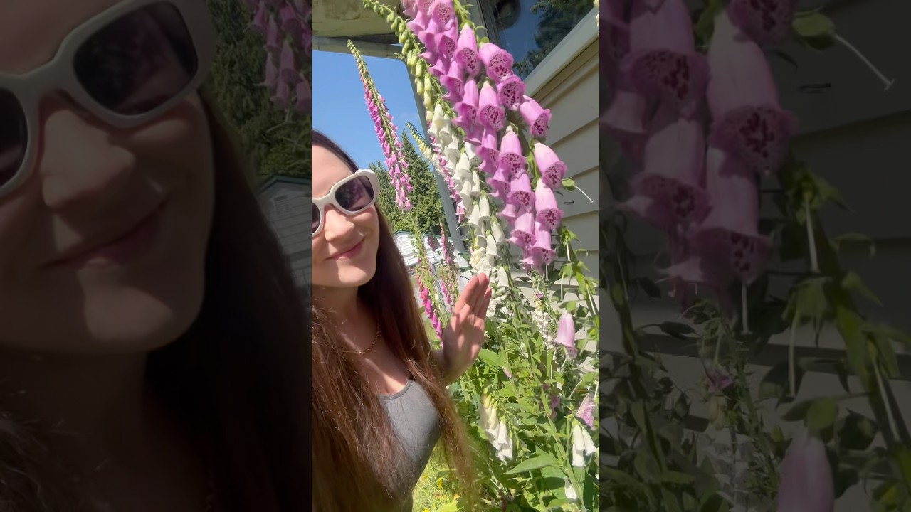 Day in the life of a mom of 3 🥰 ✨VERY BUSY DAY✨ 