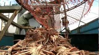 Snow Crab The Movie