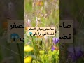 شوهاتني