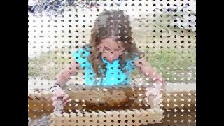 Camp Jellystone - The Movie