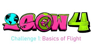 IGOW4 - Preseason 1 // Basics of flight #IGOW4WeekP1 #IGOW4