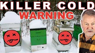 Beekeeping How To Help Your Bees Through This Cold Snap