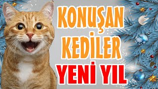 YENİ YIL ÖZEL KONUŞAN KEDİLER  EN KOMİK KEDİ VİDEOLARI