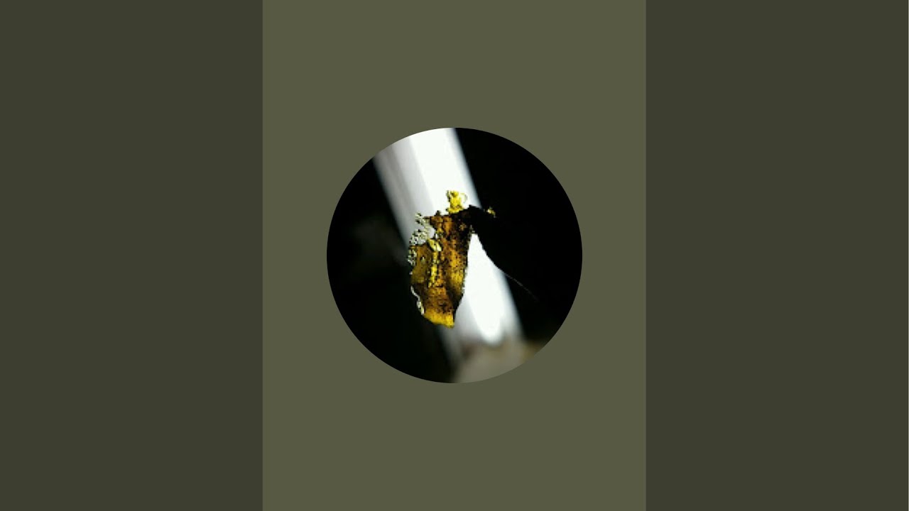 Oregon grown is live!