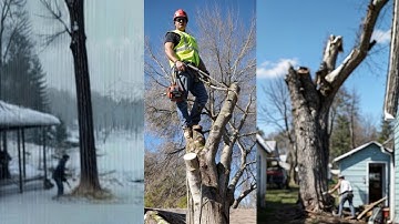Funniest Tree Cutting Fails 13