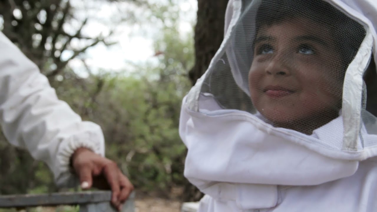 DE ENTRE CASA - Capítulo 5: Las mieles de mi pueblo.