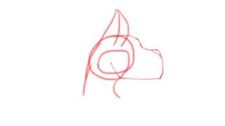 Test Animation | Read Description