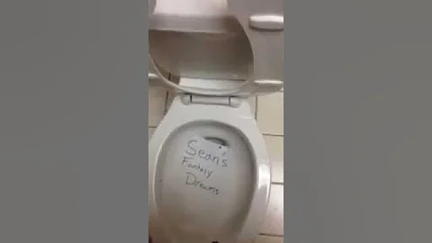 Seans dreams