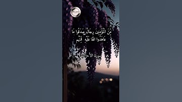 تلاوة هادئة من سورة الاحزاب 🤍