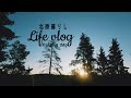 SUB【北欧暮らし】白夜｜スパイス香る夏野菜カレー｜庭の小さな野いちごを摘む｜White Night｜Spicy Summer Vegetable Curry｜Wild Strawberries