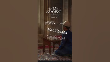 سورة النمل 🤍 آیت 19❤️