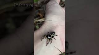 Look Real Close To See Her Iridescent Green Fangs