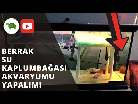 Video: Doğru Kaplumbağa Tankı Filtresi Ve Tankı Nasıl Seçilir