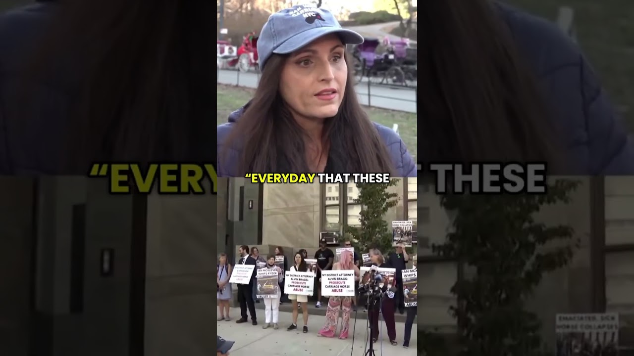 NYC carriage horse runs into traffic, hits multiple vehicles