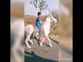 Horse riding  ratanpar