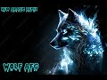 New arabic remix  wolf afg 