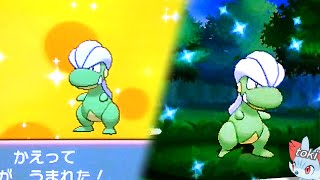 ポケモンオメガルビー アルファサファイア 色違いタツベイ誕生 Pokemon Omega Ruby And Alpha Sapphire Shiny Bagon Via Mm Youtube